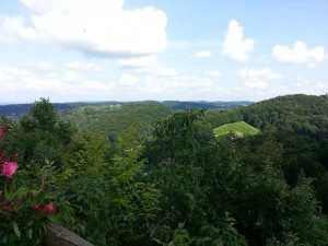 Aussicht über die Weinberge - Muster Stub´n - Spielfeld