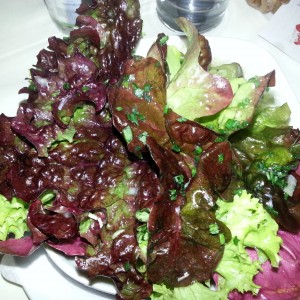 gemischter Salat - Restaurant Bedernik - Achau
