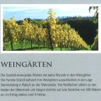 Hausprospekt - Weingärten - Weingut Buschenschank Gründl - Labuttendorf