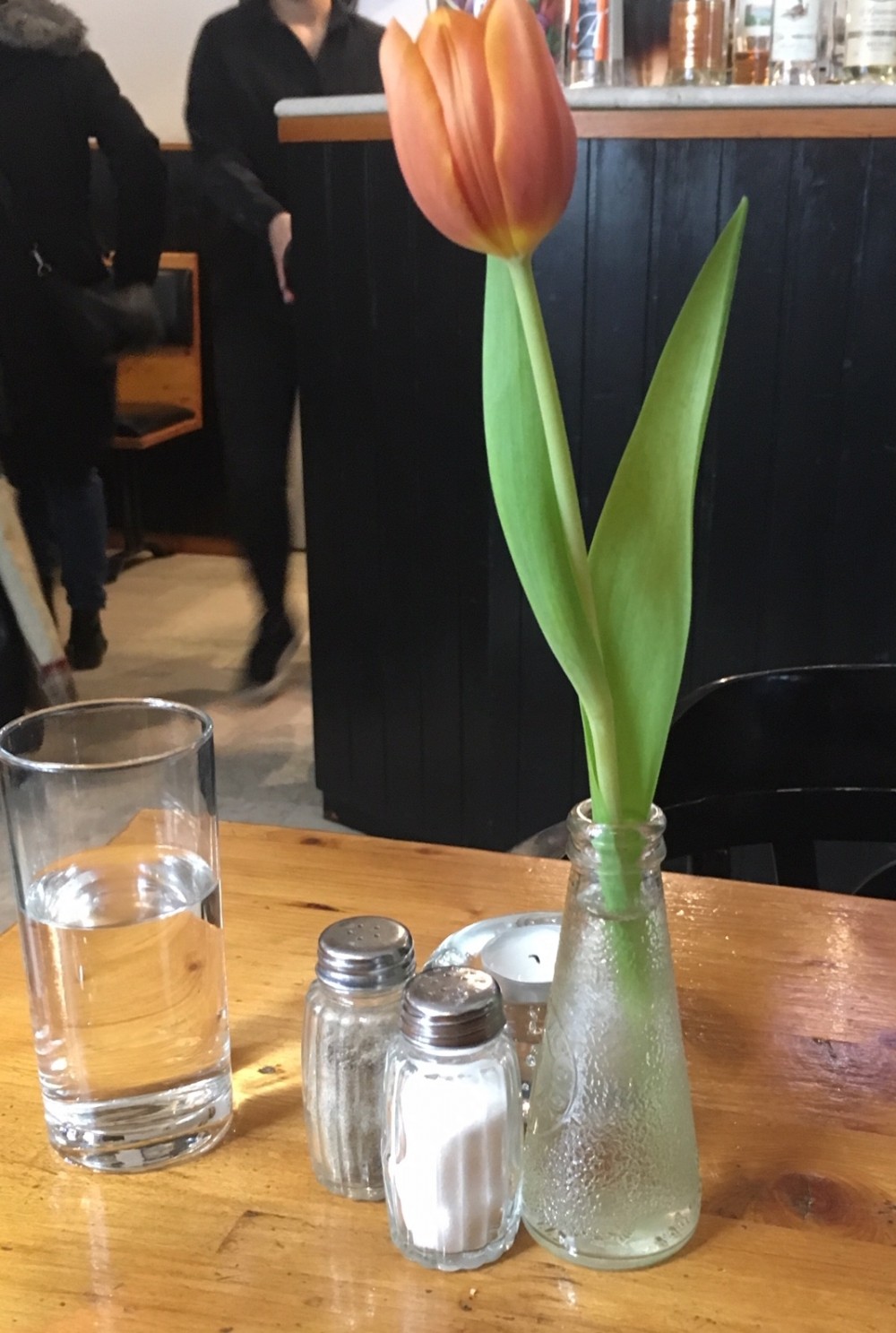 Eine echte Tulpe am Tisch - Giuliano Due - Wien