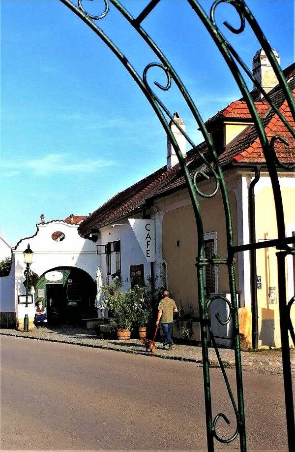 Buschenschank Schandl - Rust