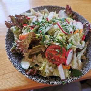 Gemischter Salat 06/2020