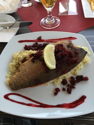 Lachsforelle mit Zitronenrisotto - Restaurant "Erla" Hotel - Stubenberg am See