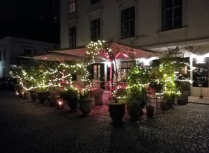 Ein "Buxbaum" mit Weihnachtsdeko..... - Buxbaum Restaurant - Wien
