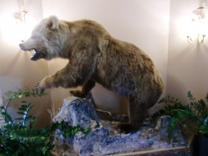 Grizzly (Ambiente) - Restaurant Hotel Grizzly - Sankt Margarethen / Lungau