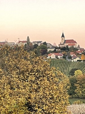 Sankt Anna am Aigen - Weinhof Buschenschank Scharl - Sankt Anna am Aigen