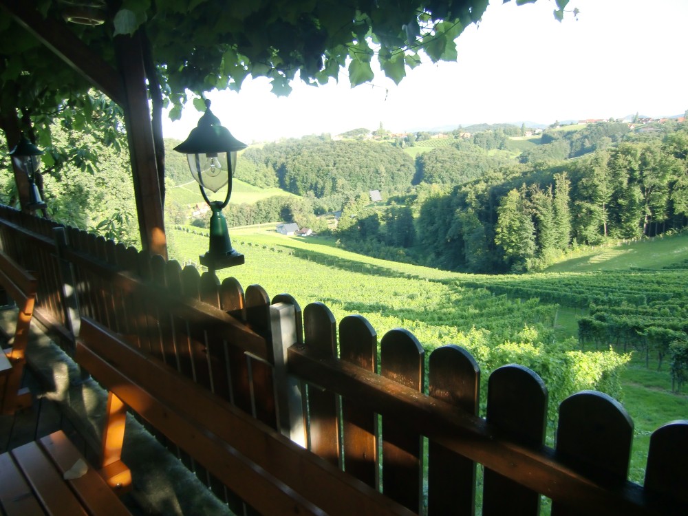Auf der Terrasse - Weingut Buschenschank Assigal - Leibnitz