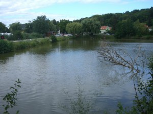 Blick auf das Gasthaus - etwas hinter den Bäumen verborgen