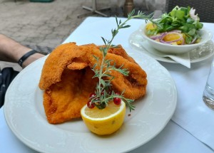 Ausgelöstes Backhendl - Waldgasthof Schimanszky - BERNDORF