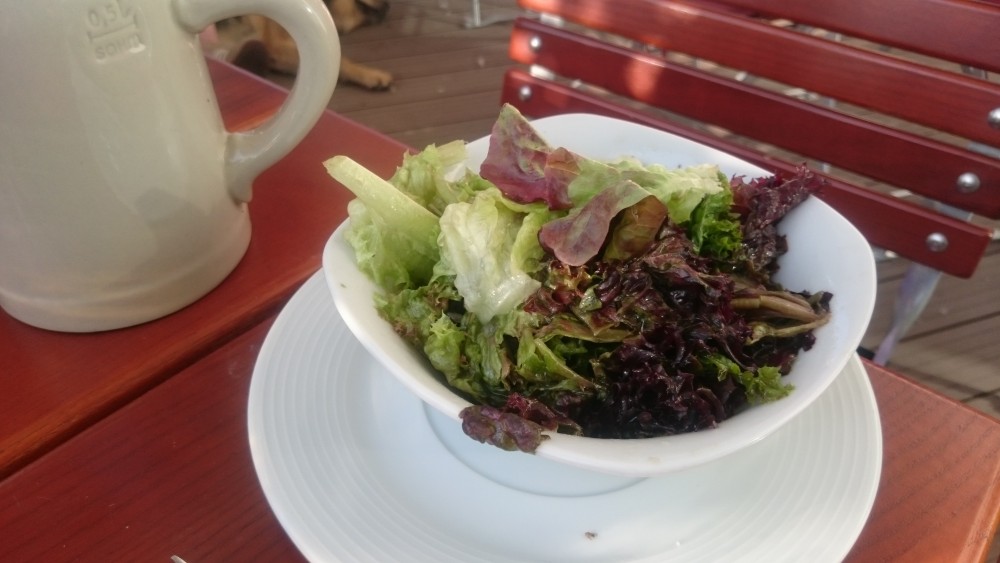 grüner Salat (zu Käsespätzle) - Schmankerl Bräu - Wien
