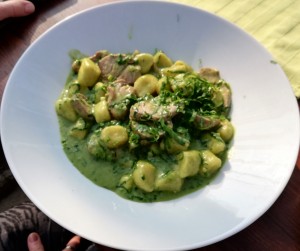 Gnocchi hausgemacht, mit Schweinfilet und Bärlauchsauce, vom Feinsten! - Gasthaus Stotzek - Wien