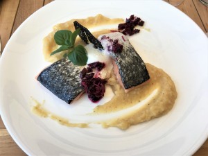 Lachsfilet, Selleriemousse, Rote Rüben Salsa