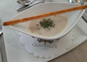 Kräuterrahmsuppe mit Grissini - Garten Hotel Ochensberger - St. Ruprecht an der Raab