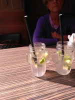 Die hausgemachten Erfrischungsgetränke im (Kaktus)Glas - Mosquito Mexican Restaurant Cocktailbar - Wien