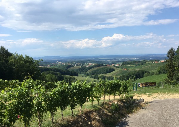 Weinbau und Buschenschank Gallunder - Ehrenhausen