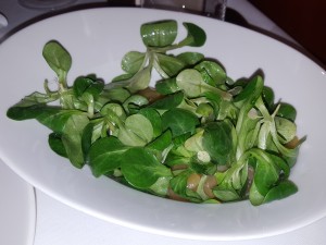 Erdäpfel-Vogerl Salat zum Heilbutt