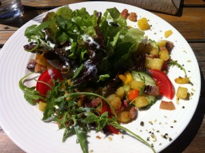 Bauernsalat - Kandleralm - Brixen im Thale