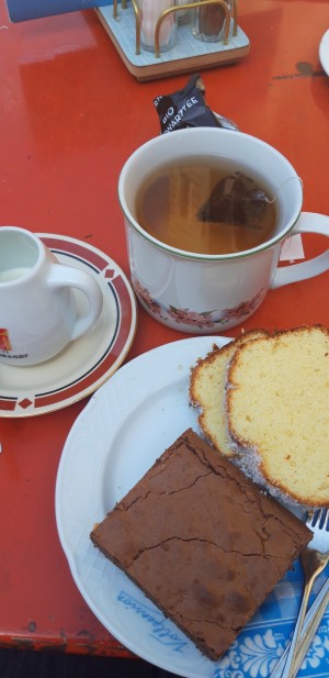 Brownie und Kokoskuchen. Dazu Tee. - Vollpension - Wien