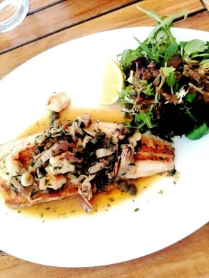 Saiblingsfilet - Marktamt - Baden bei Wien