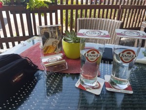 Holundersaft gespritzt - herrlich bei 32Grad - Schreiners - Laimbach am Ostrong