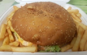 Cheeseburger mit Pommes 8,90 - Il Pendolino - Wien