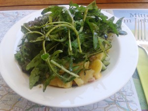 Salat - Stainzerhof - Stainz
