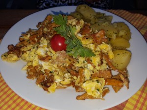 Geröstete Eierschwammerl mit Petersilerdäpfeln - SCHOTTEN - Heurigen-Restaurant - Maria Enzersdorf