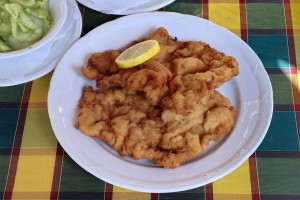 Restaurant Schwabl - Wr. Schnitzel - erhielte von mir ein Leiberl im Nationalteam ;) - war ...