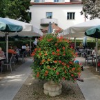 Dommayer - Einer der schönsten Gastgärten Wiens - mittlerer Bereich - im ... - Dommayer - Wien