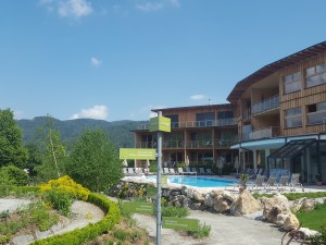 Blick auf den beheizten Pool - Molzbachhof - Kirchberg am Wechsel