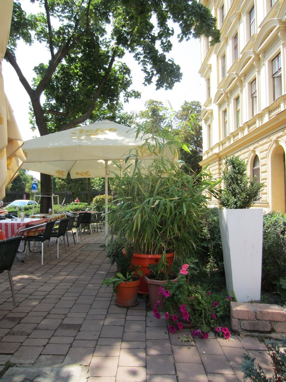 in der warmen Jahreszeit kann man es sich auch draußen gemütlich machen - Gasthaus Am Nordpol 3 - Wien
