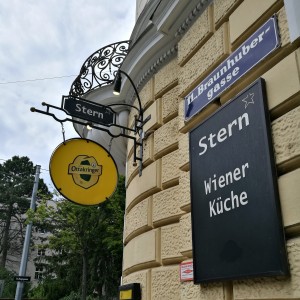 Stern - Wien