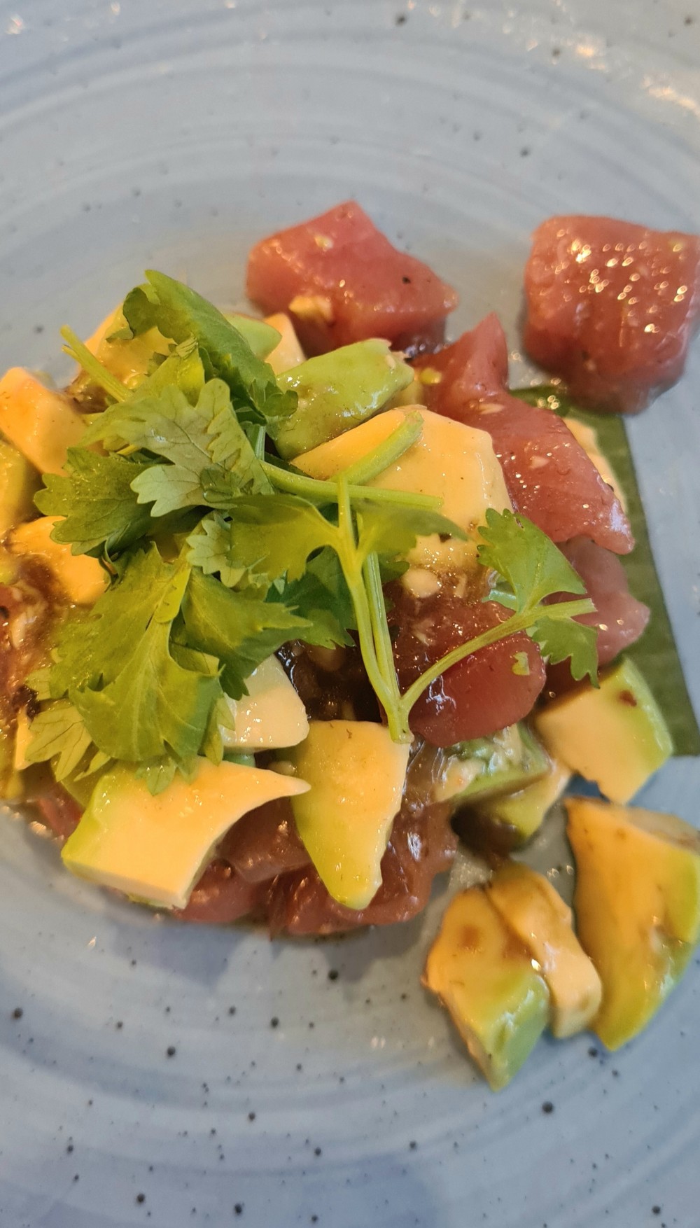Thunfisch mit Avocado und Koriander - Bangkok - Salzburg