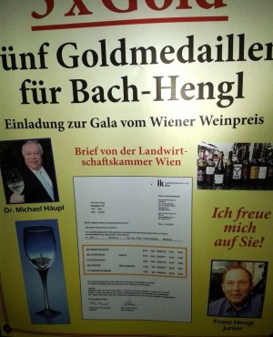 Alter Bach-Hengl - Lokalinformation