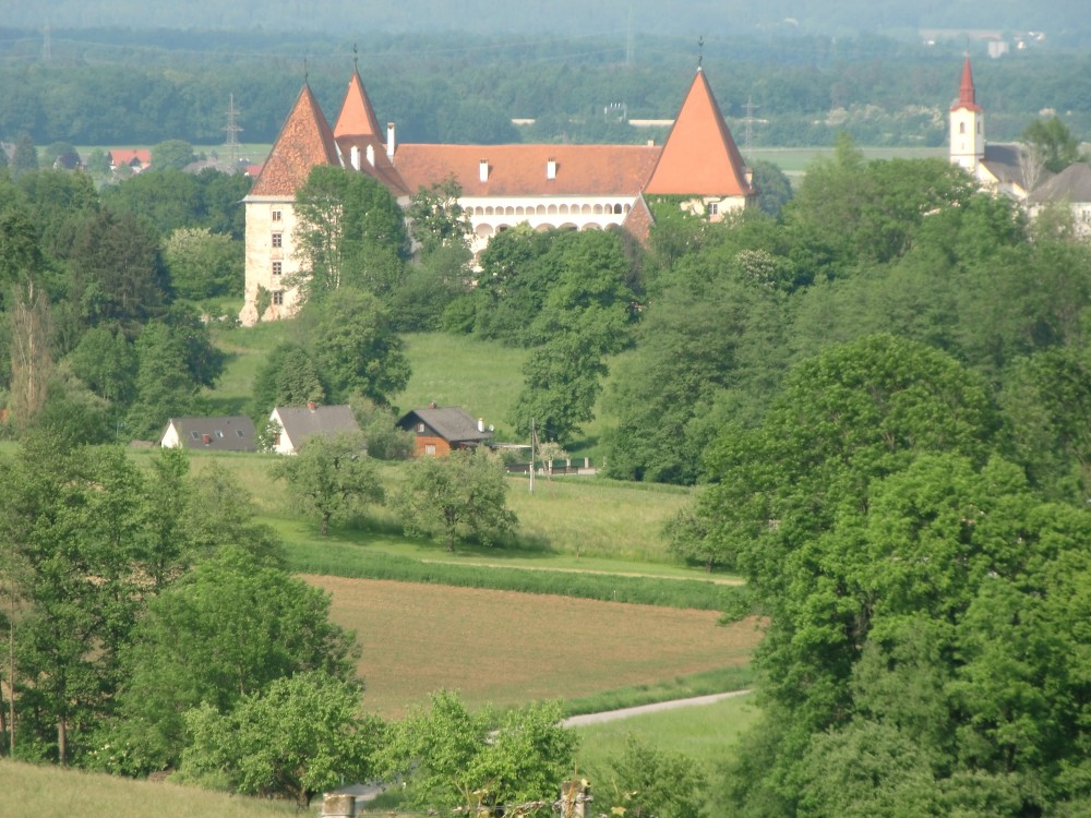 Aussicht bis zum Schloss Spielfeld - Weingut Buschenschank Neubauer - Spielfeld