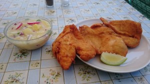 Tagesteller - Hühnerschnitzel m. Erdäpfelsalat - Imbiss beim Zelt - Wien