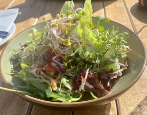 Beilagensalat - produktverliebt… Wildkräuter, Sprossen,… herrlich!