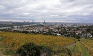 Schon wieder dieser herrliche Ausblick! - Weinbau Klaus Windischbauer - Wien