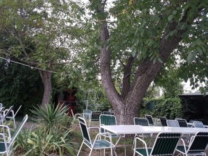 Gastgarten - Gasthaus Feicht - Wien