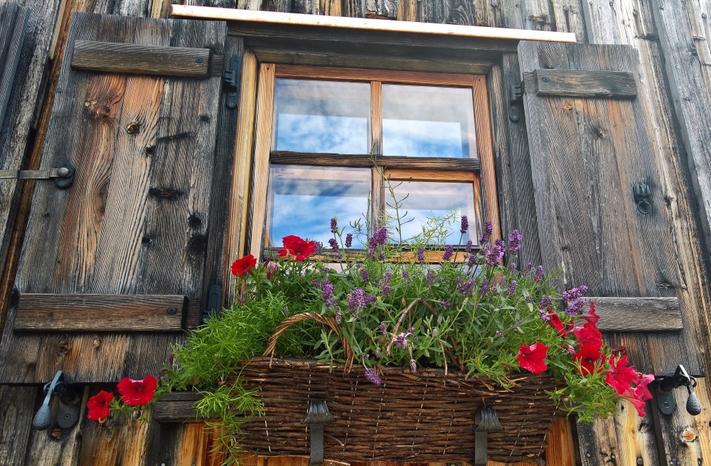 sehr schöne Impressionen - Gasthaus Älpele - Lech