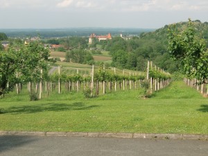 Aussicht Richtung Osten - Weingut Buschenschank Neubauer - Spielfeld