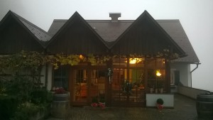 Der Steinberghof im Nebel - STEINBERGHOF Weingut Firmenich - Berghausen