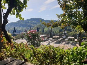 Weingut und Buschenschank Koller - Kitzeck im Sausal