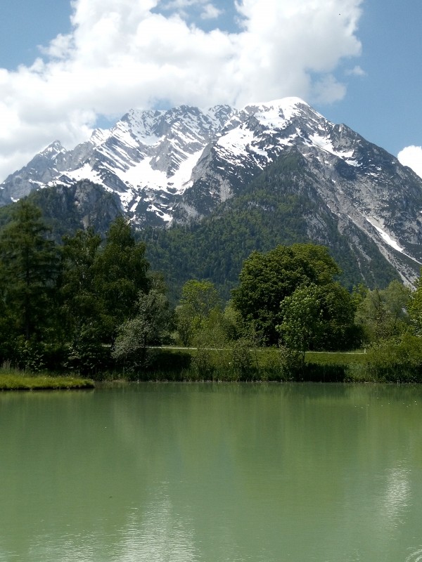 Ausblick vom Restaurant - Schlossteich Stüberl - Fischrestaurant Rieger - Trautenfels