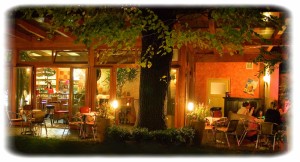 Der Innenhofgarten - unser
verstecktes Juwel - Café - Cocktailbar - Lounge TEMPO TEMPO - Wien