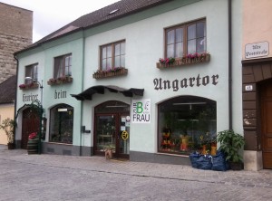 Heuriger zum Ungartor Lokalaußenansicht - Heuriger zum Ungartor (Fam. Hubicek) - Hainburg an der Donau