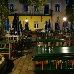 Der Gastgarten in der Abendstimmung - Zum Renner - Wien